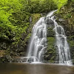 Appalachian Lookout-Hot Tub, 1089 Of Free Attraction Tickets For Each Paid Day, Dollywood And More!