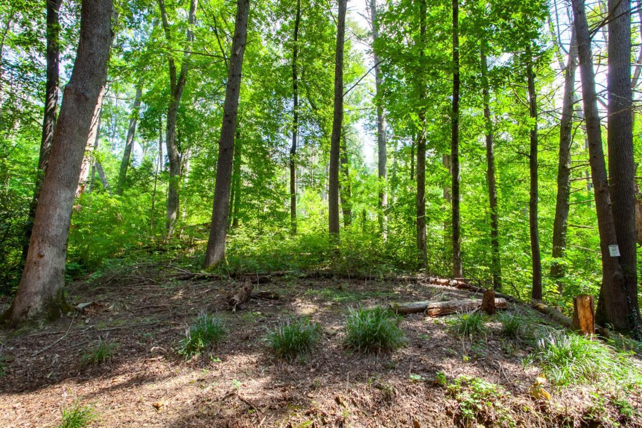 Timber Minutes From Downtown * Gatlinburg