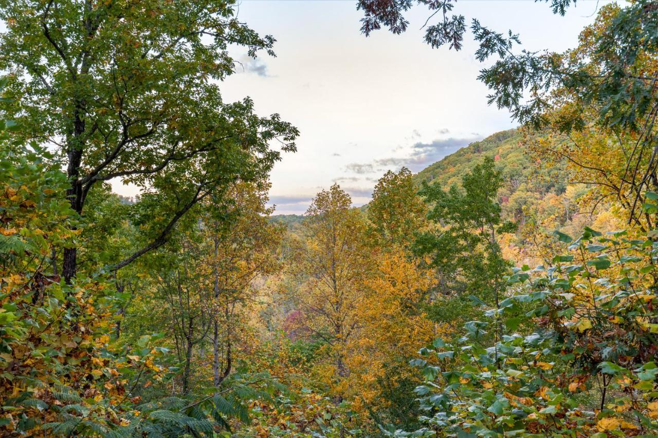 Cozy Bear Holiday home Gatlinburg