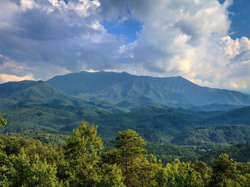 Great Smoky Holiday home *