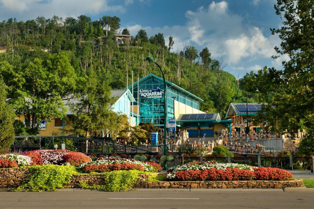 Colors Of The Smokies By Distinctive Getaways Holiday home