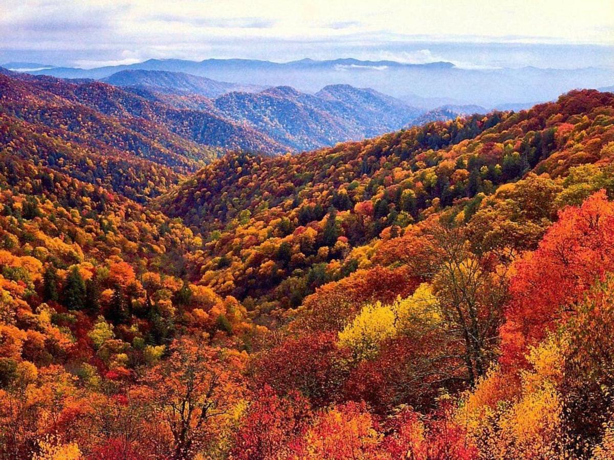 Sky High Views!!-peak Mountaintop-outdoor Pool-close To Downtown-private Balcony-wifi-cable * Gatlinburg