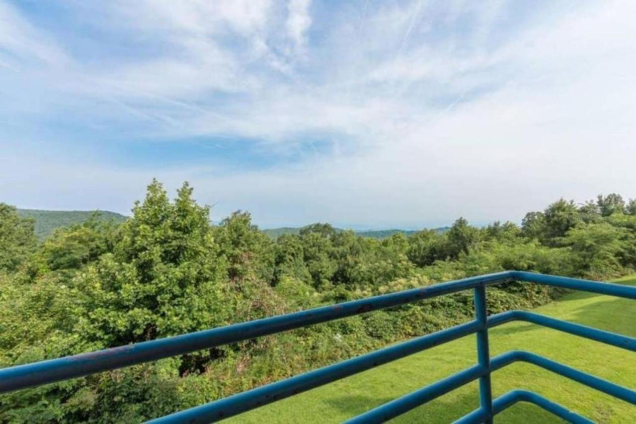 Sky High Views!!-peak Mountaintop-outdoor Pool-close To Downtown-private Balcony-wifi-cable Apartment *