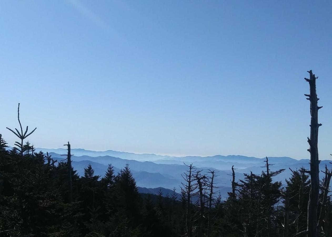 Sky High Views!!-peak Mountaintop-outdoor Pool-close To Downtown-private Balcony-wifi-cable Apartment *