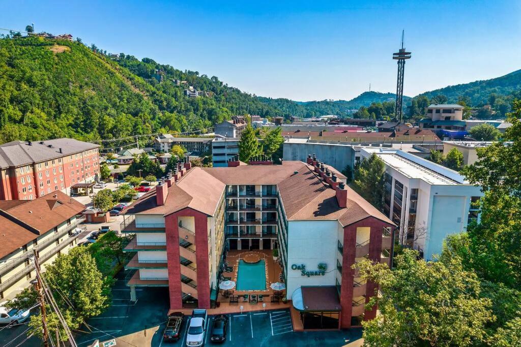 Bear Pause Retreat/steps To Pkwy/with Indoor Pool Apartment *