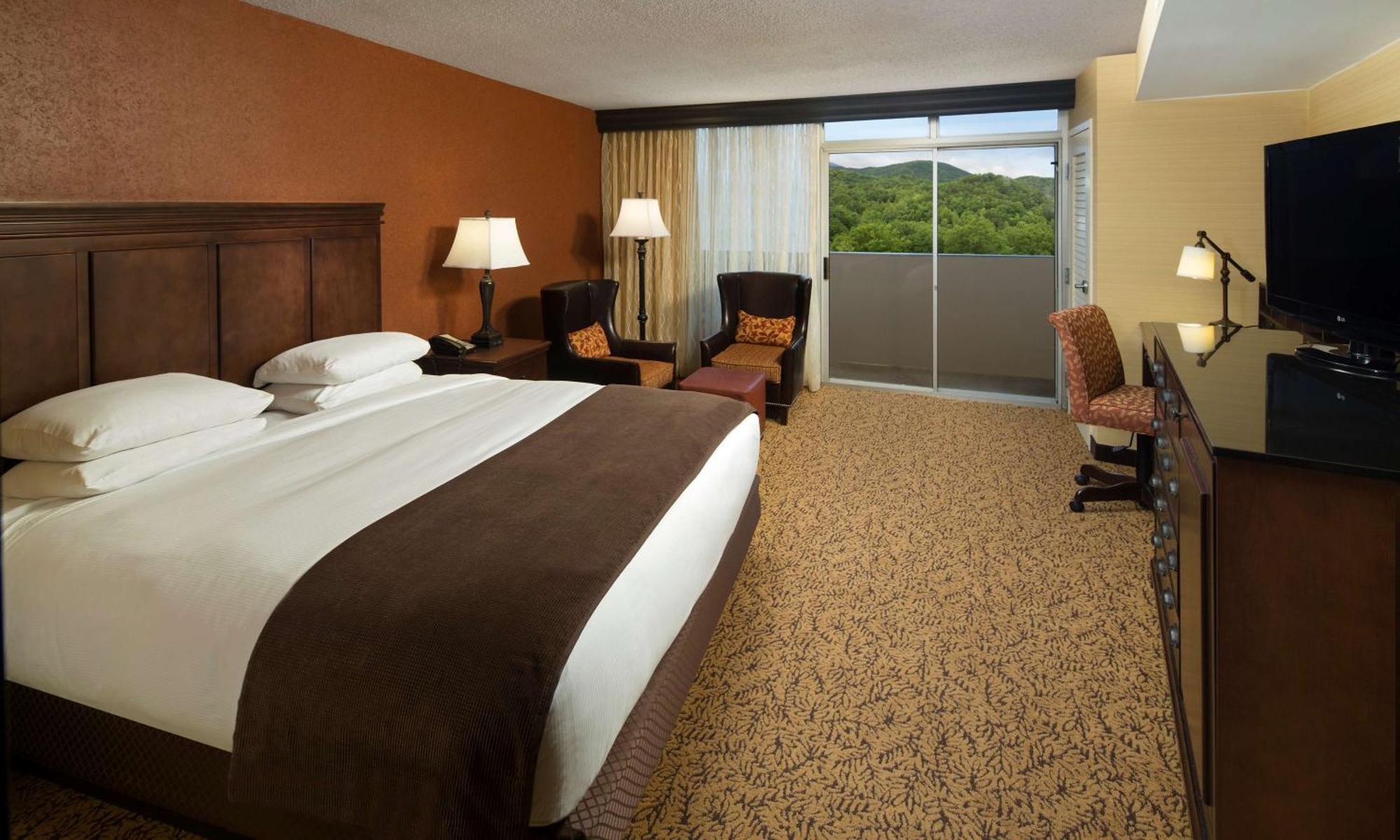 The Park Vista - A Doubletree By Hilton - Gatlinburg