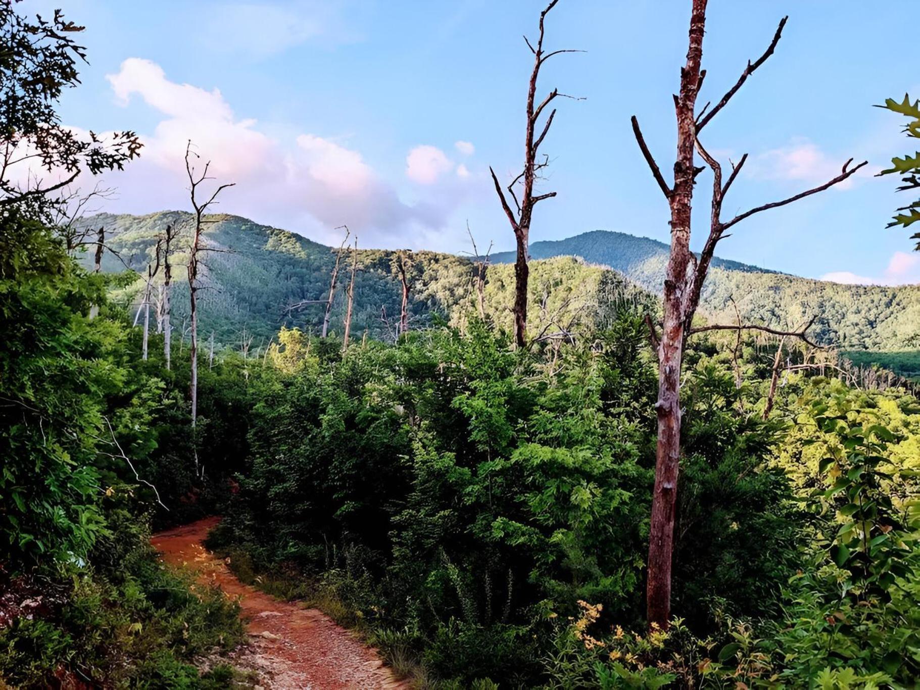 Prime Mountain - Near Galinburg Downtown *