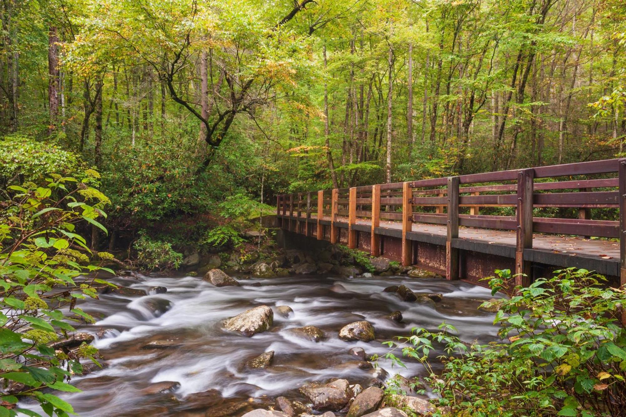 Mountain Jewel, Hot Tub, Theater Room, 1089 Free Tickets Each Paid Day, Dollywood And More!