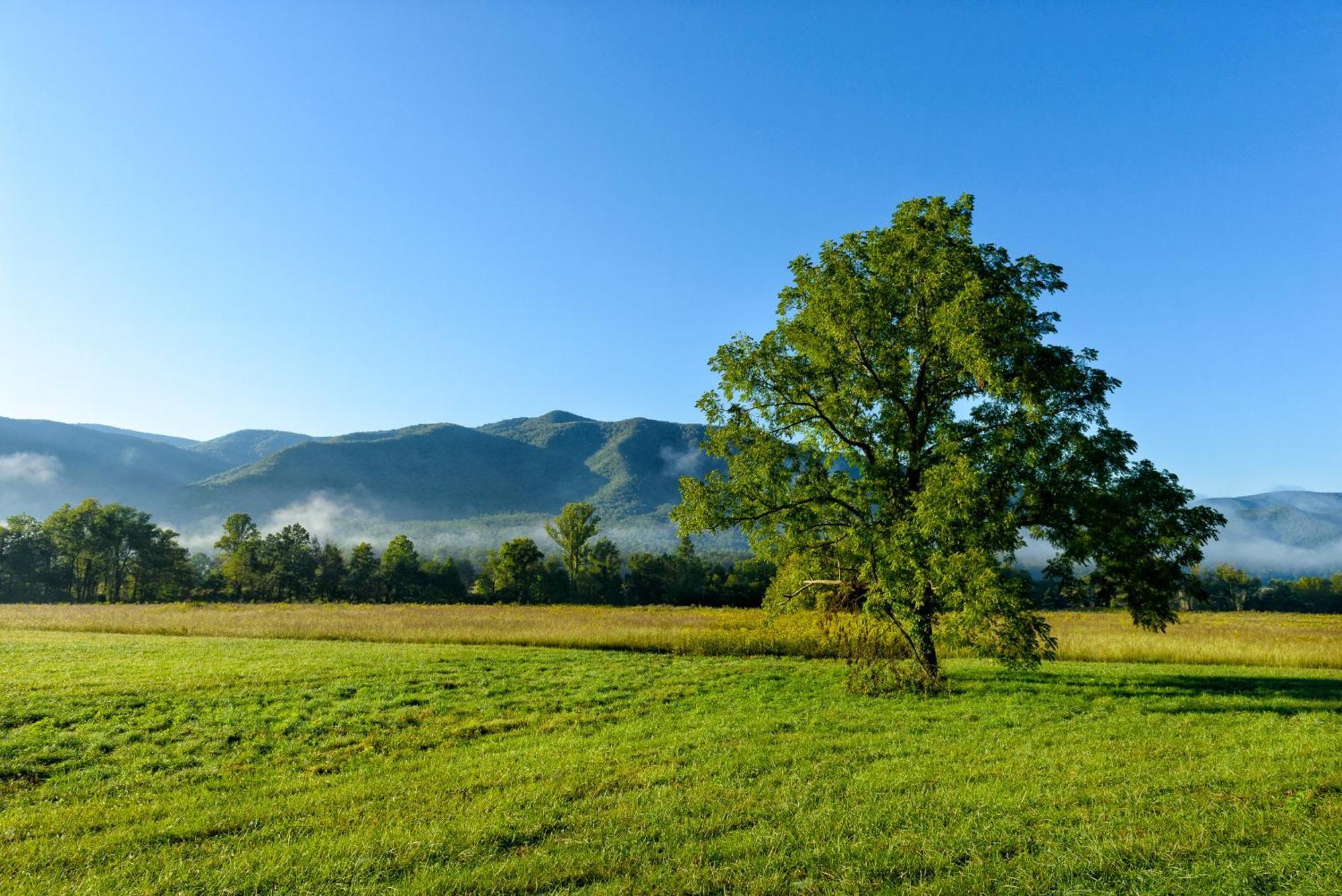 River Terrace & Convention Center 3* Gatlinburg