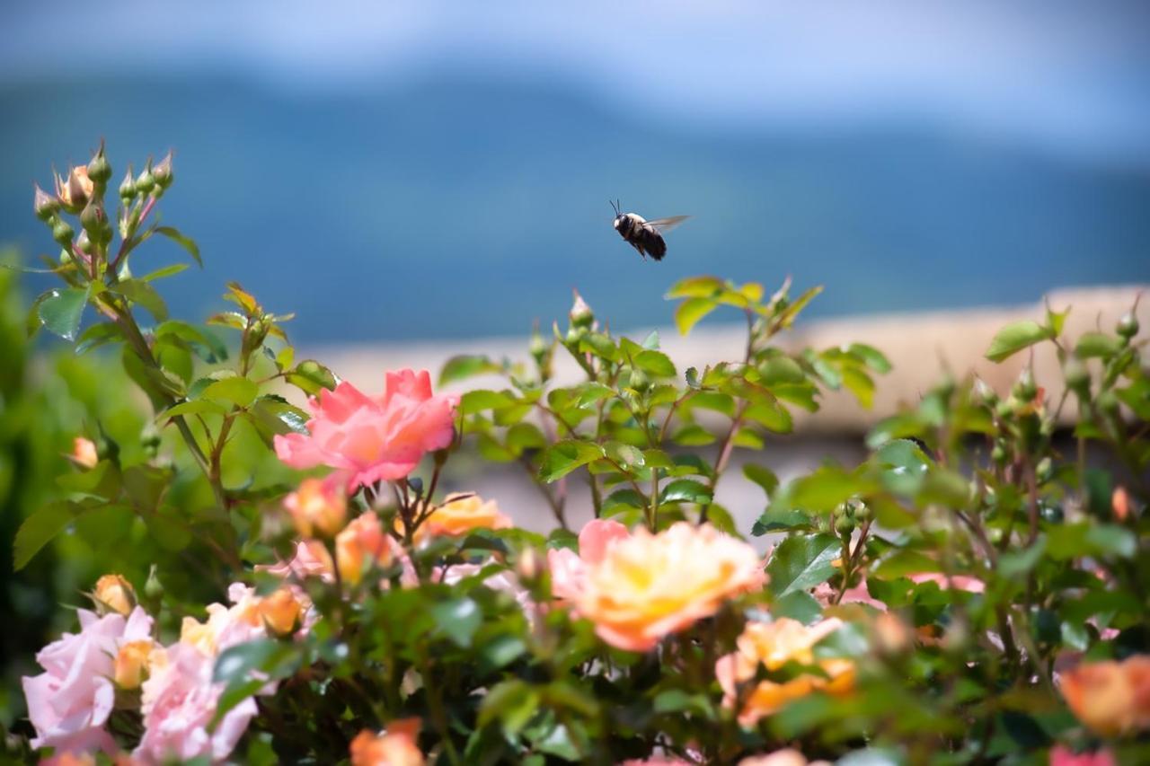 Just Perfect By Stony Brook * Gatlinburg