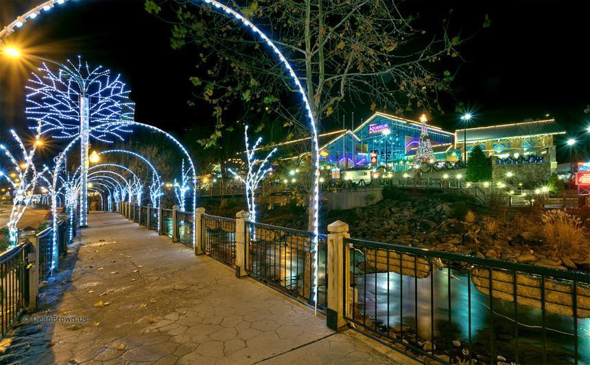 Basswood * Gatlinburg