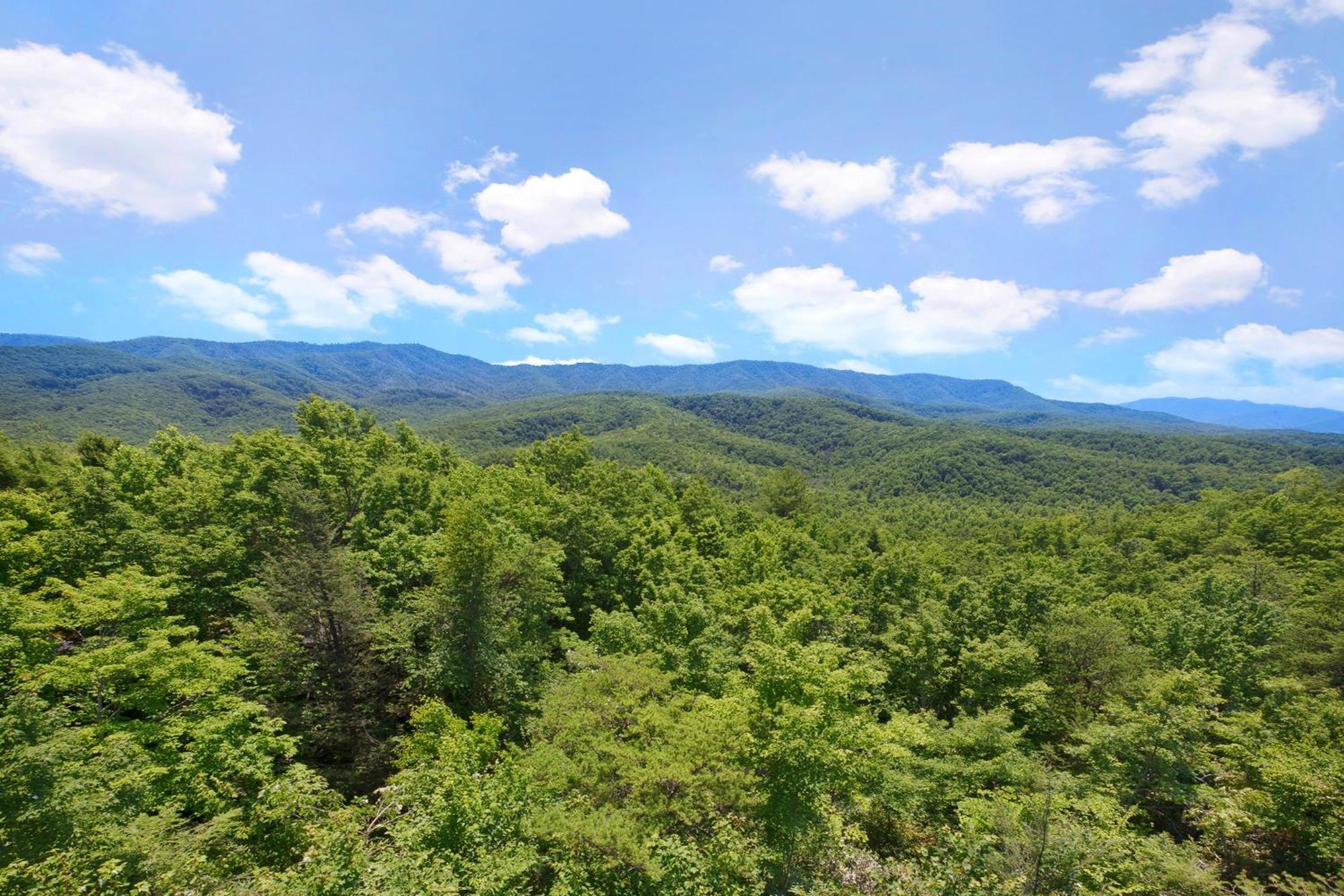 Wine Down Gatlinburg