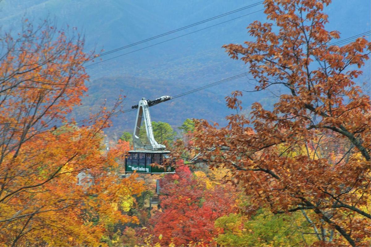 Basswood Gatlinburg
