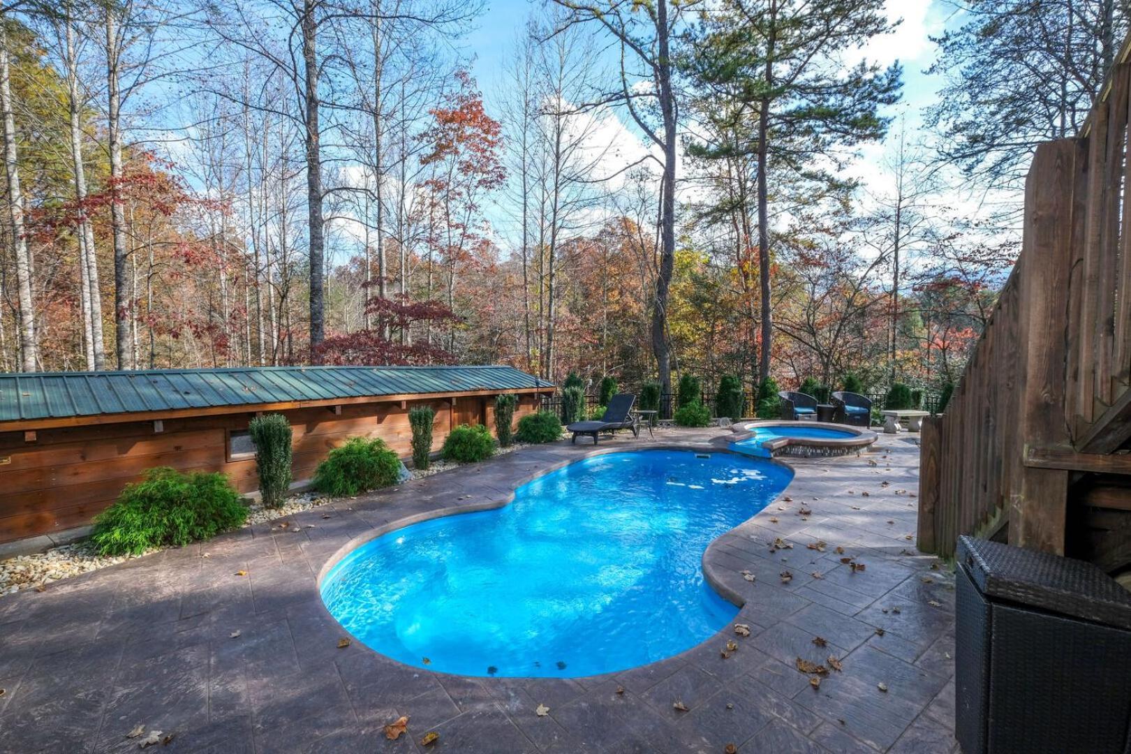 Pitter Patter Swimming Pool Ht Near D'town