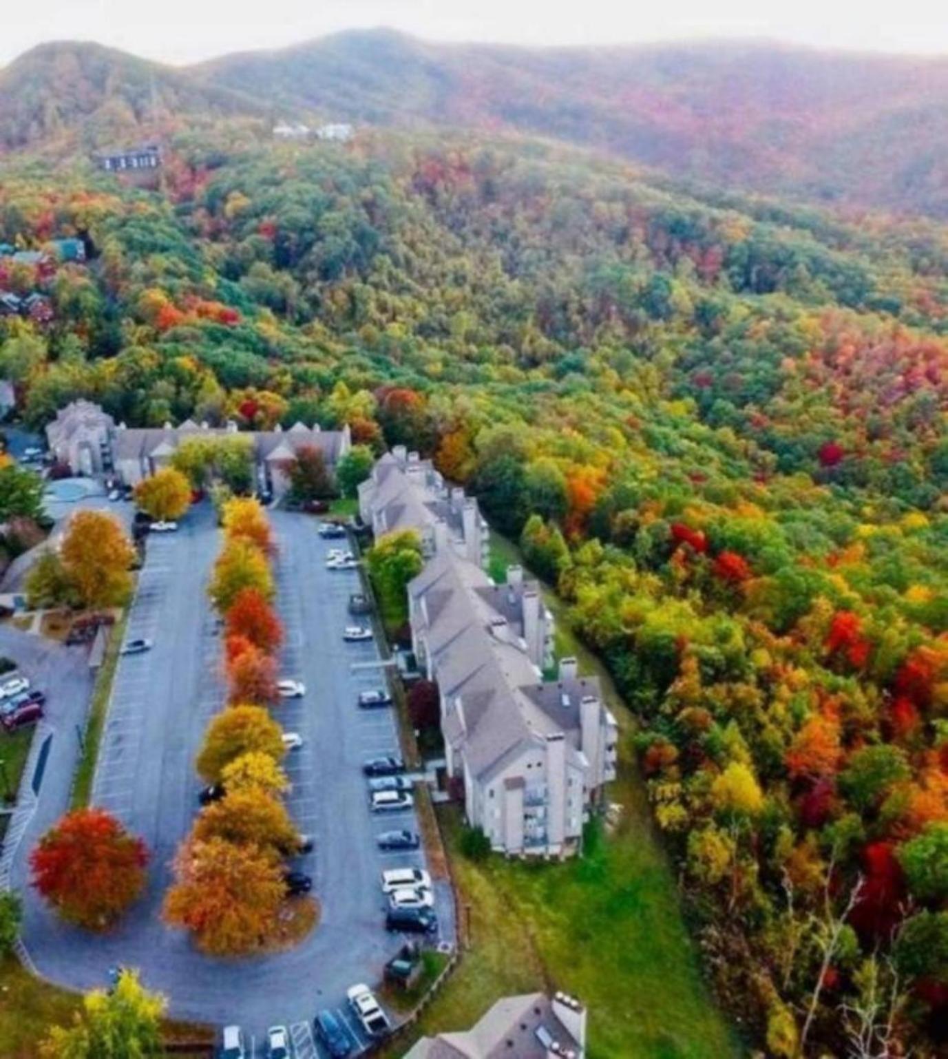 Apartment 2 Places, 1 Epic Smoky Mtn Stay! Breathtaking Views-indoor Pool-outdoor Pool-hot Tubs-arcade-playground-close To Downtown Gatlinburg