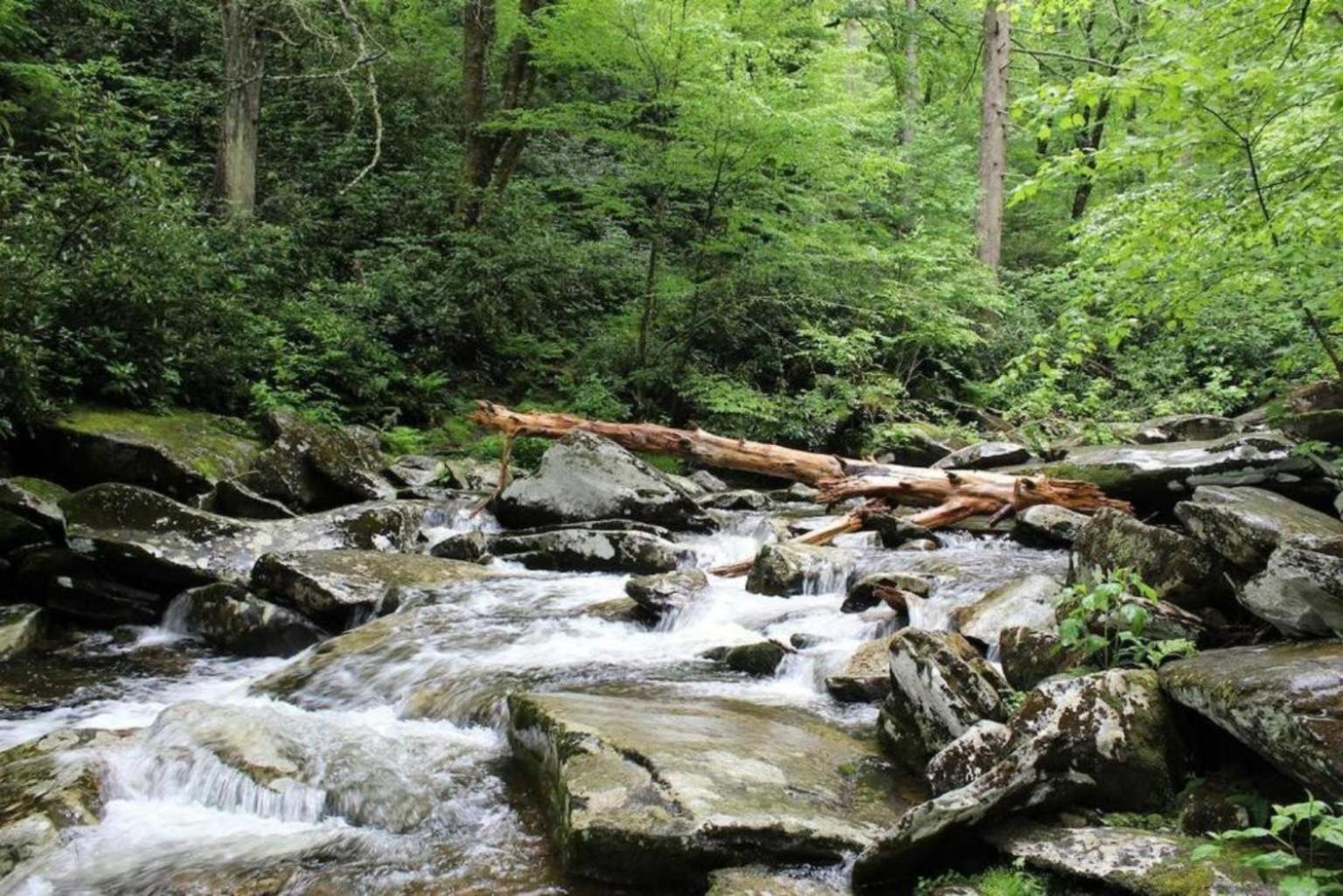 2 Places, 1 Epic Smoky Mtn Stay! Breathtaking Views-indoor Pool-outdoor Pool-hot Tubs-arcade-playground-close To Downtown *