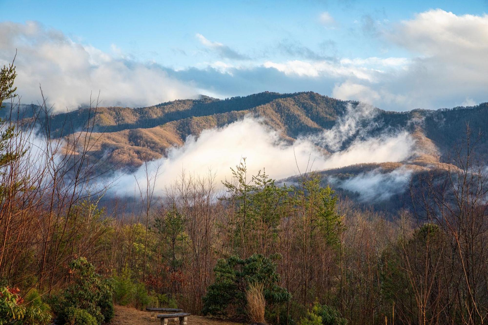 Real Log With Amazing Views, Hot Tub, Sauna, Games Holiday home Gatlinburg