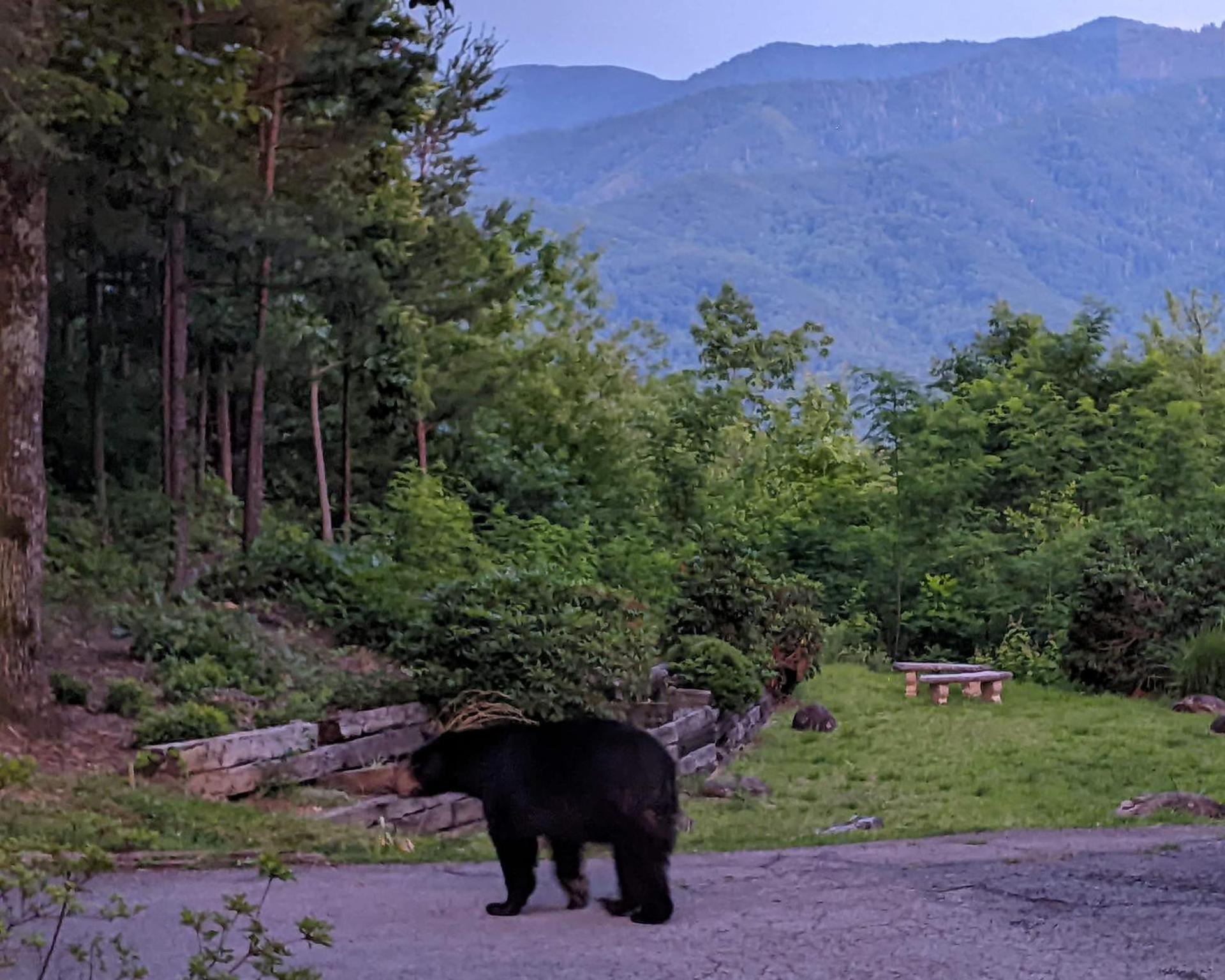 Holiday home Real Log With Amazing Views, Hot Tub, Sauna, Games Gatlinburg