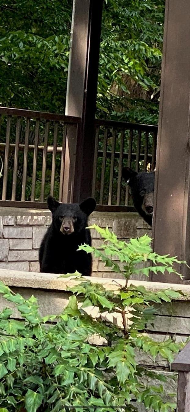Brookside Hotel Gatlinburg