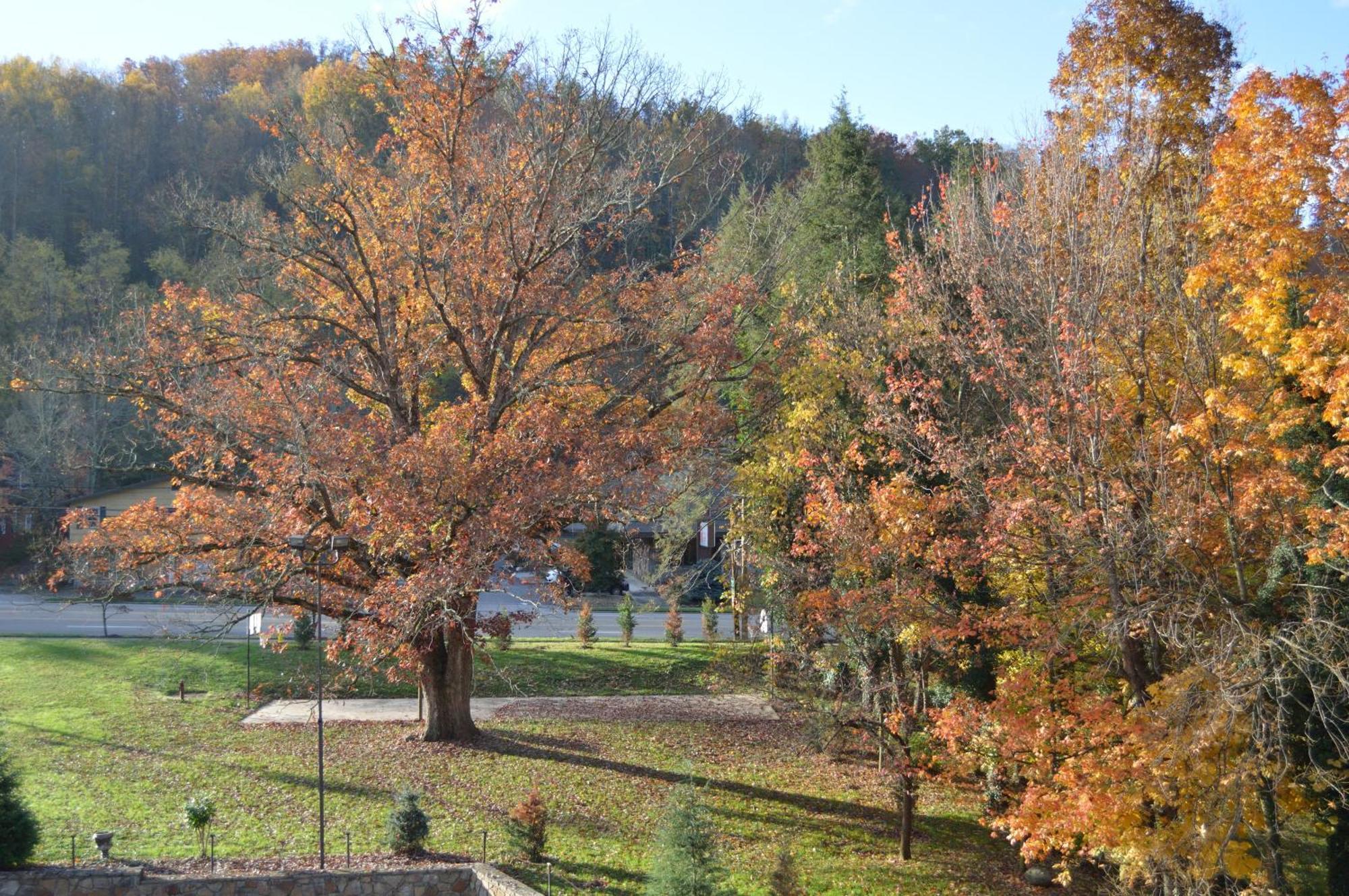 Brookside Gatlinburg