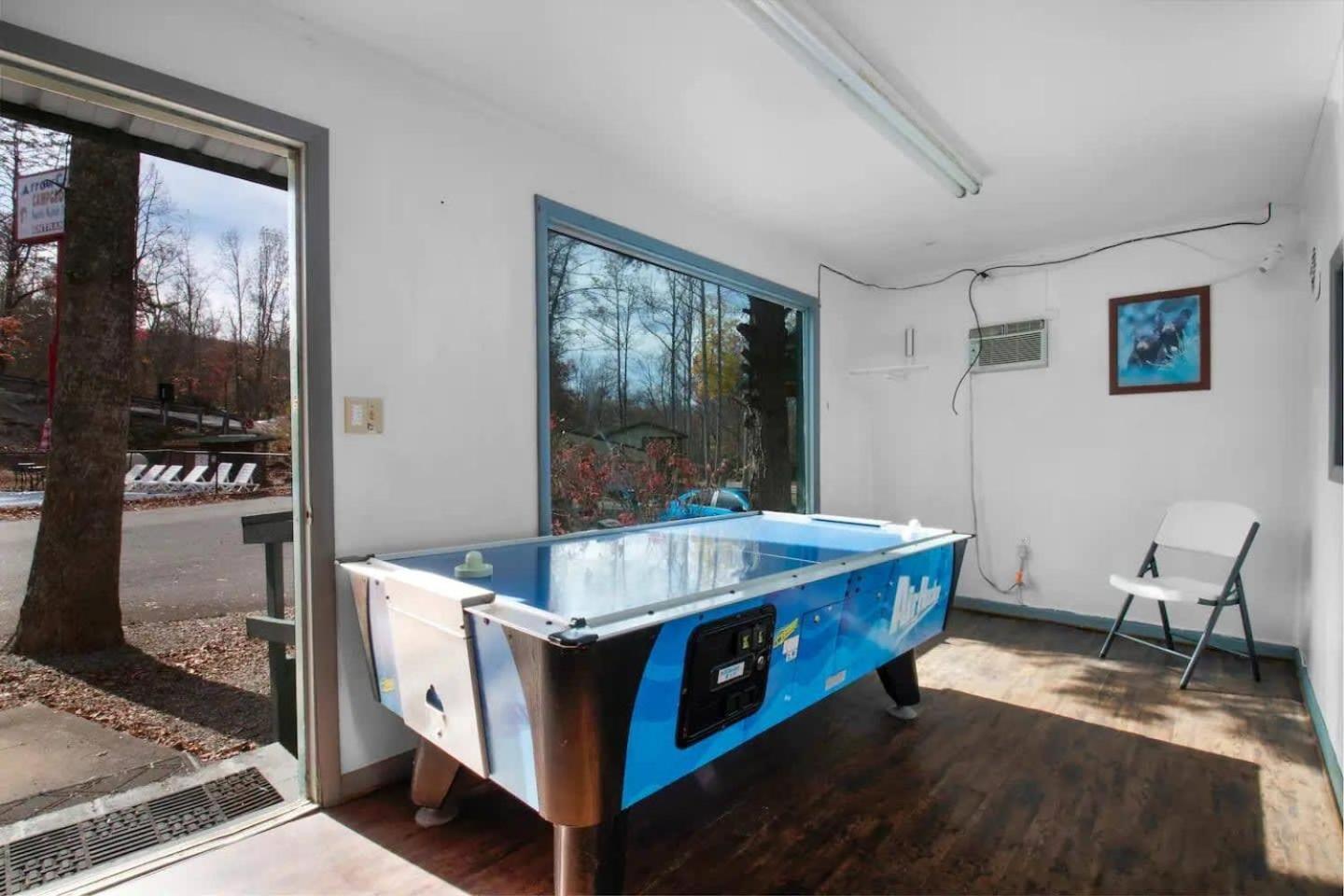 Pet Friendly In Campsite *