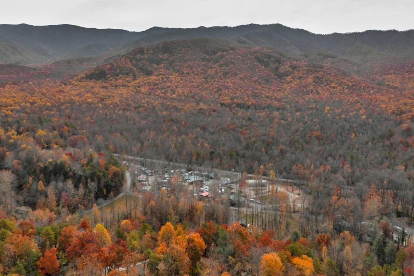 Pet Friendly In * Gatlinburg