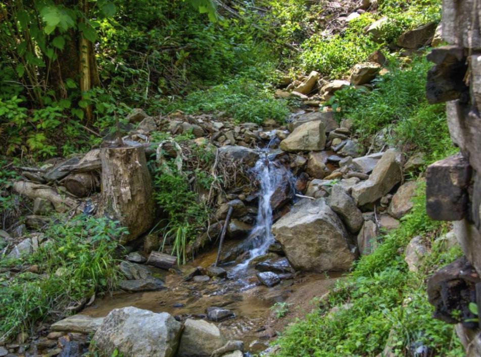 Bearly Hidden: Peaceful Creekside Escape With Hot Tub