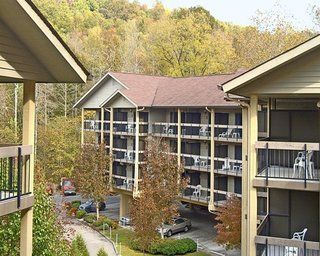 Hotel Tree Tops 4*