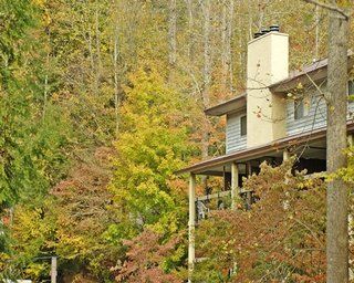 Tree Tops Hotel