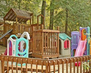 Hotel Tree Tops 4*