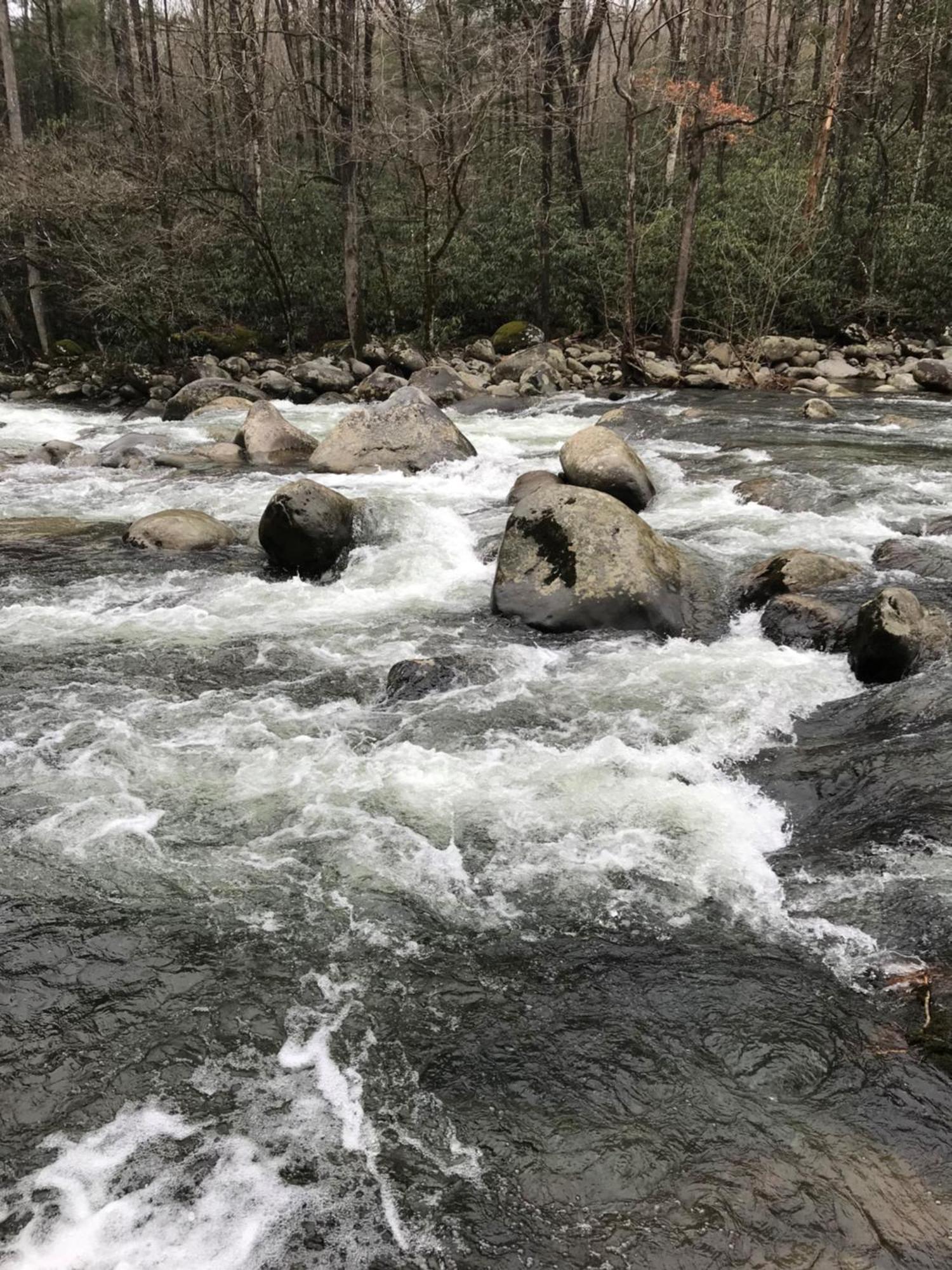 Cozy Cub, Breath Taking Mtn Views, Indoor Pool Gatlinburg