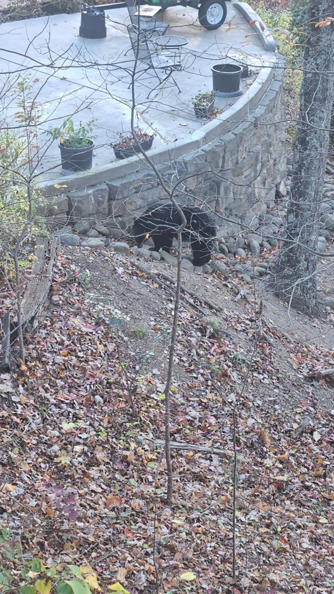 Southern Oak At Village - 5 Minutes From And National Park Chalet Gatlinburg