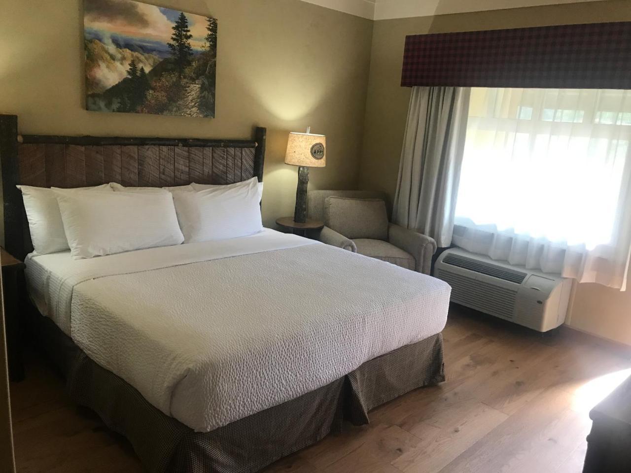 Hotel The Appy 3*